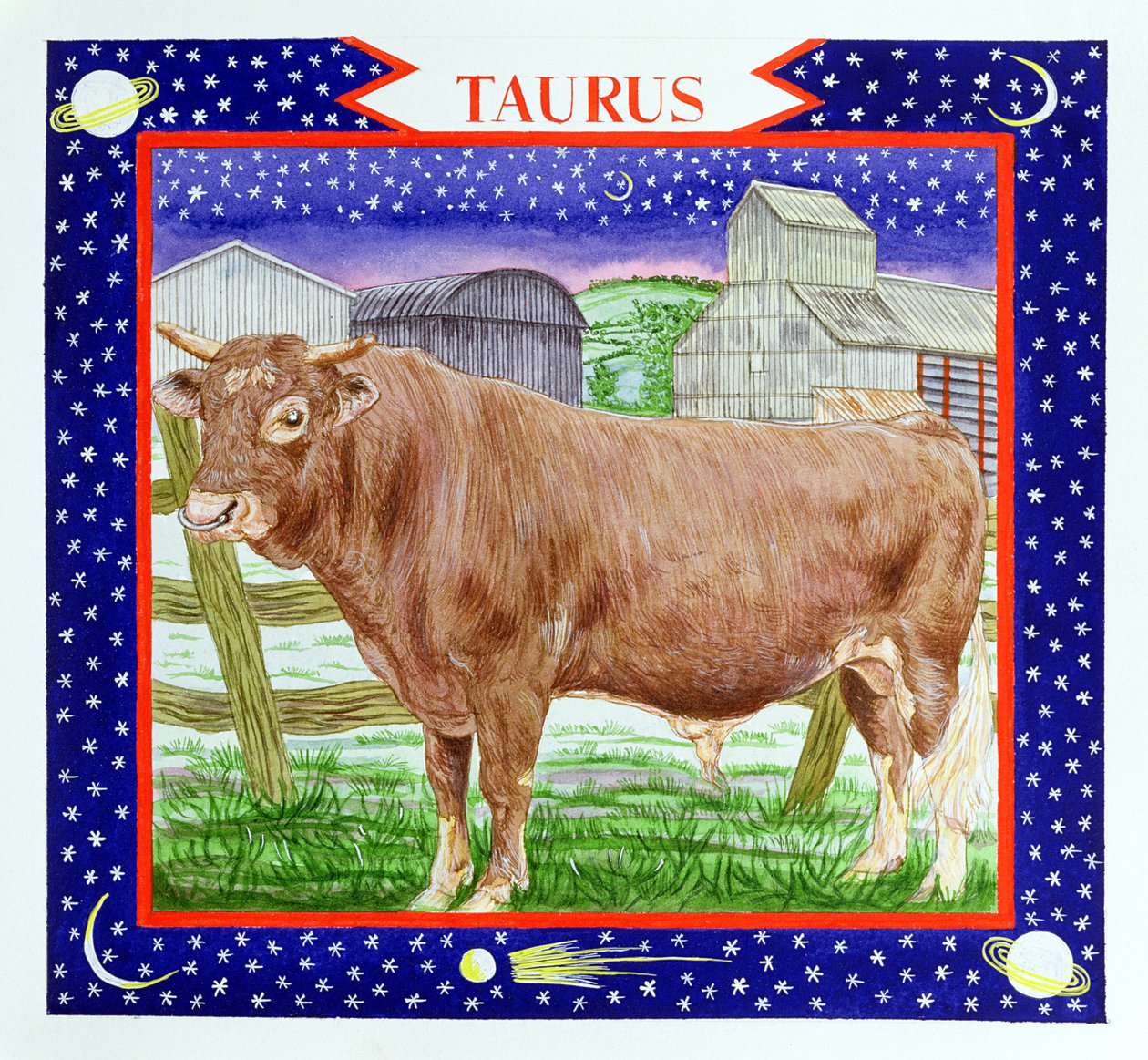 Taureau - Catherine Bradbury