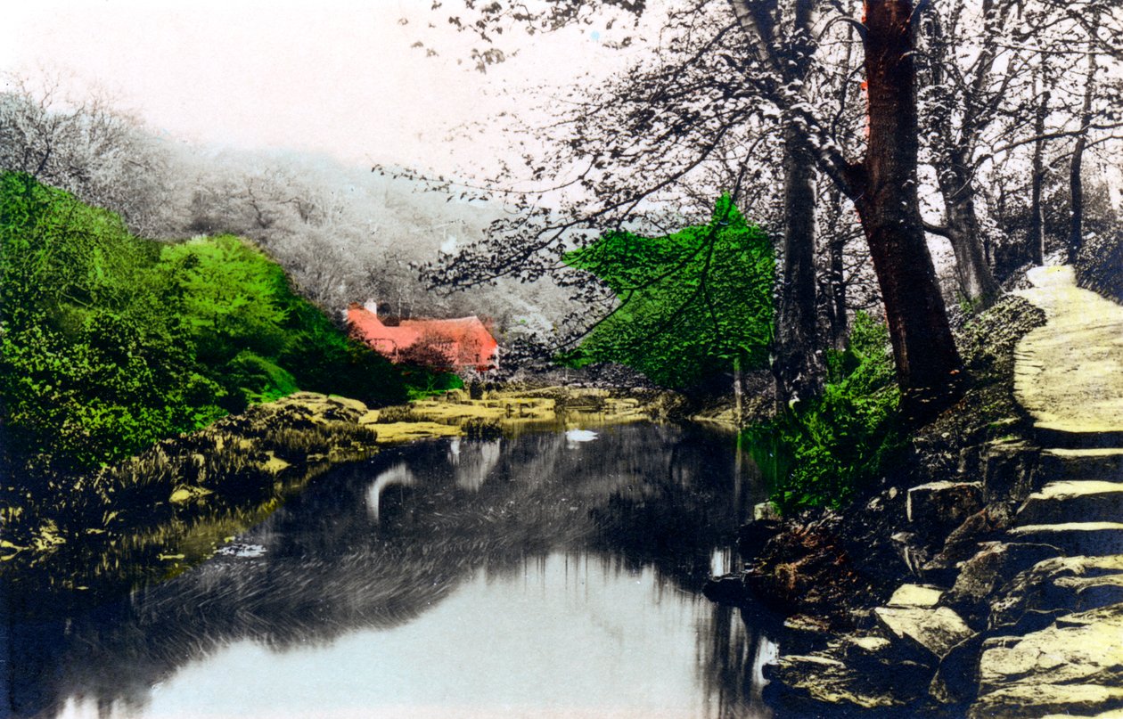 Jesmond Dene, Newcastle-upon-Tyne, Tyne & Wear, 1926 - Cavenders Ltd