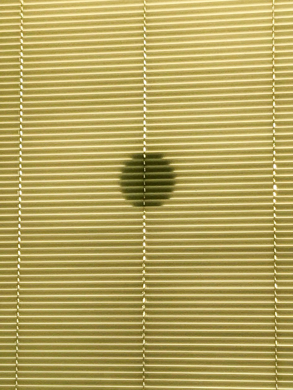 Composition - Shadows, 2019 (photo) - Cécile Jamet