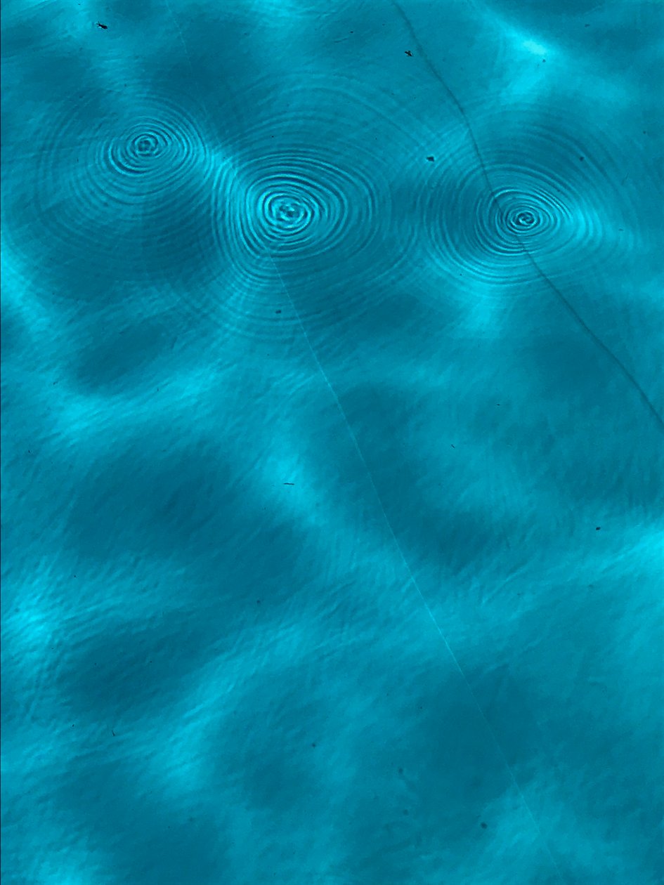 Composition - Texture, 2020 (photo) - Cécile Jamet