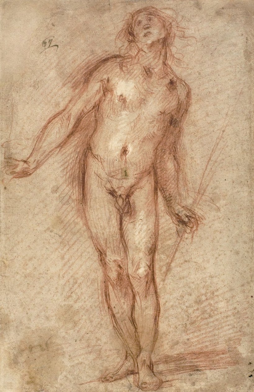 Homme nu debout, 1637-38 - Cecco Bravo