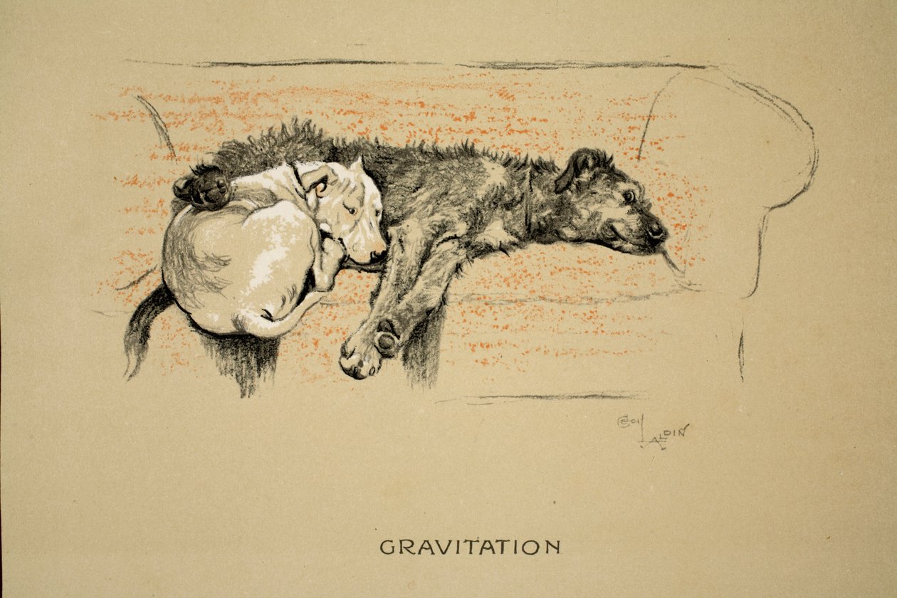 Gravitation, 1930, 1ère édition de 