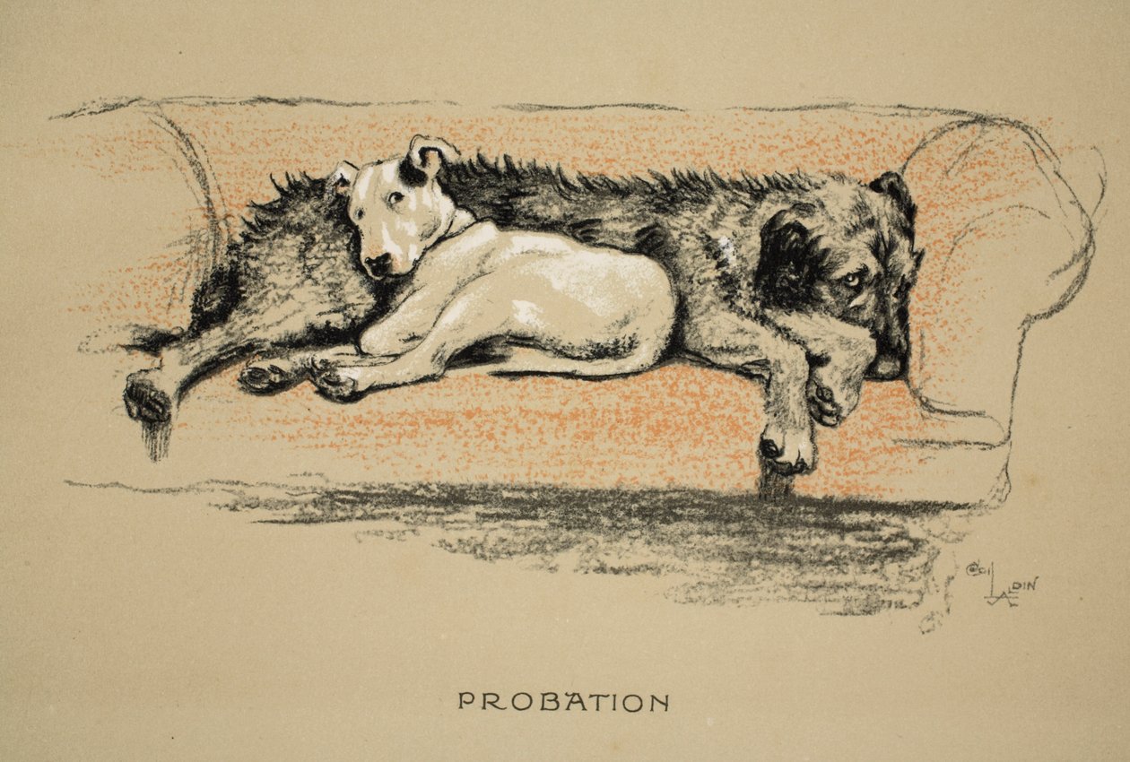 Probation, 1930, 1ère édition de 