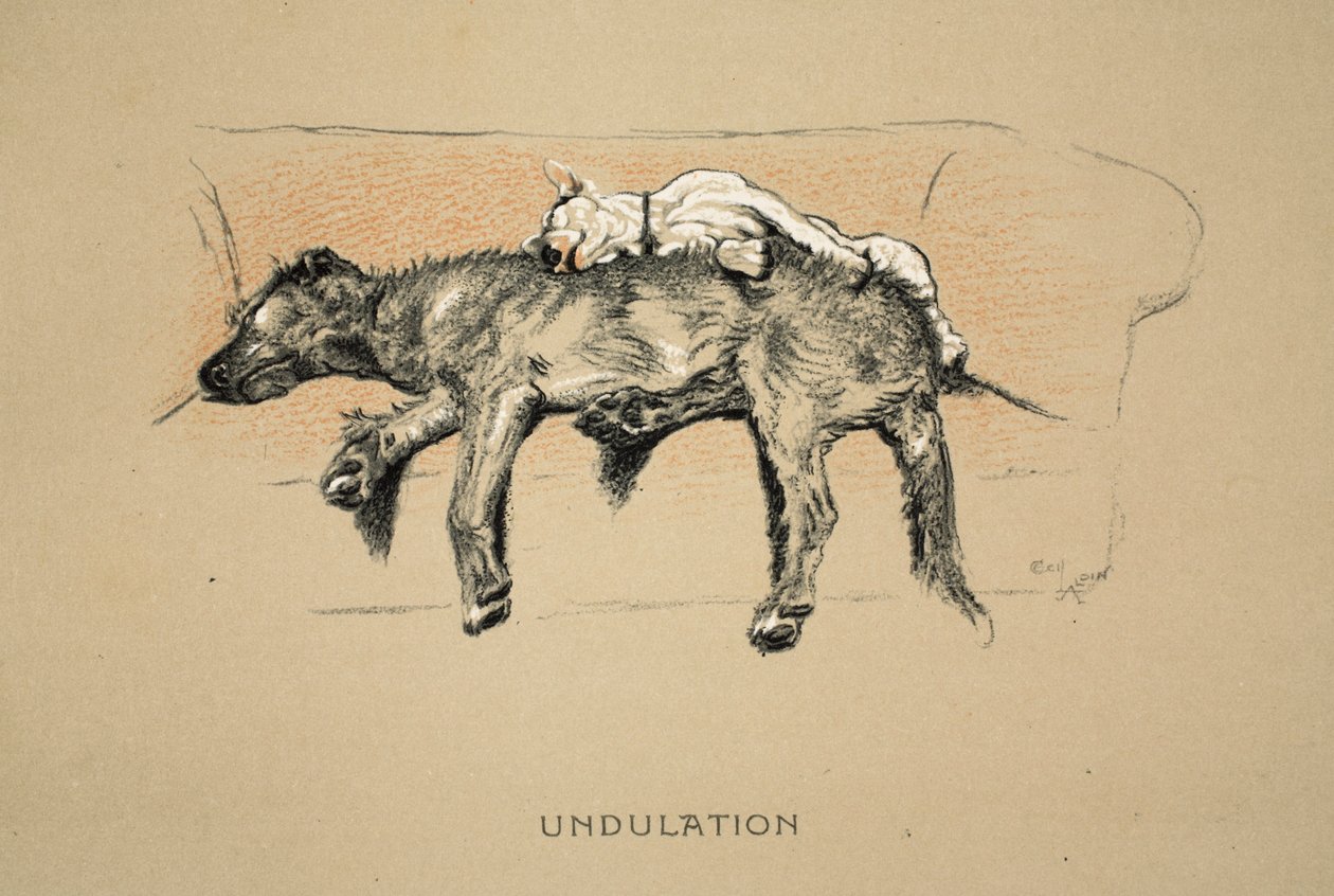 Ondulation, 1930, 1ère édition de 