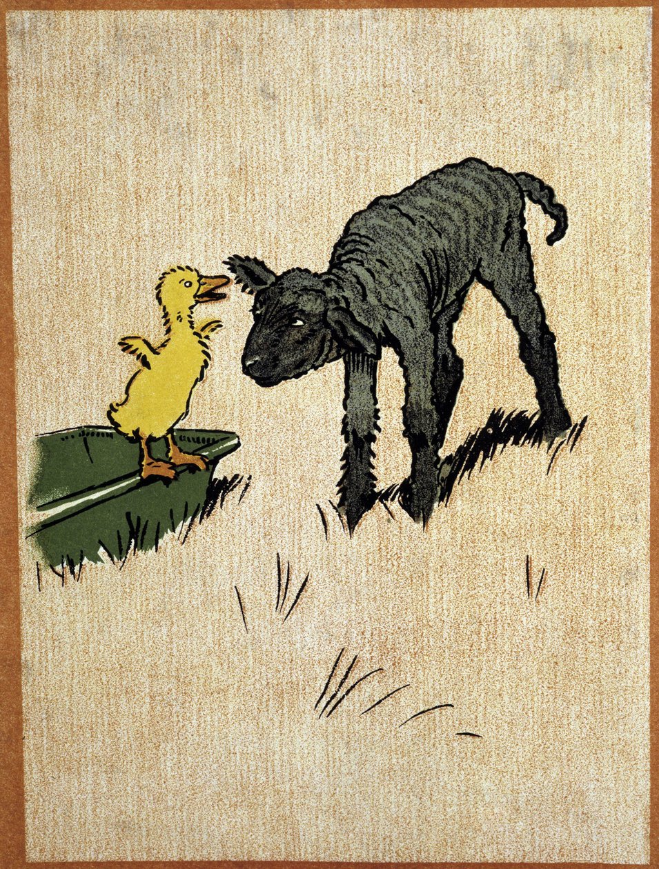 Agneau noir et caneton - dessin par Aldin - Cecil Charles Windsor Aldin