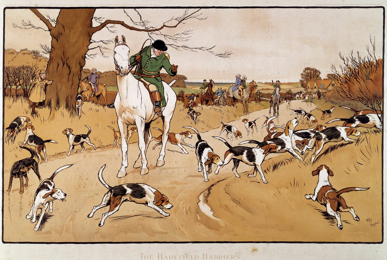 Chasse au lièvre. Aquarelle de Cecil Aldin (1870-1935) - Cecil Charles Windsor Aldin