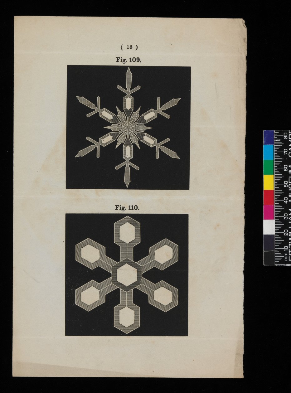 Cristaux de neige - Cecilia Glaisher
