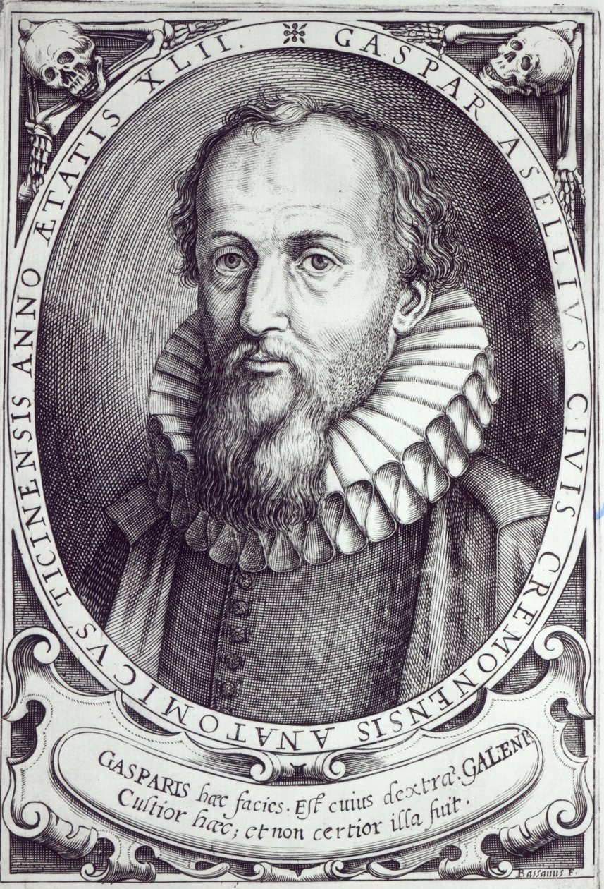 Gaspare Aselli - Cesare Bassano