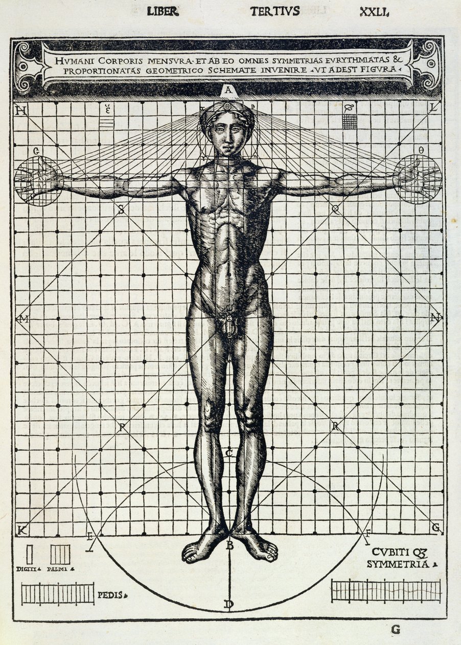 Proportions idéales basées sur le corps humain, de 