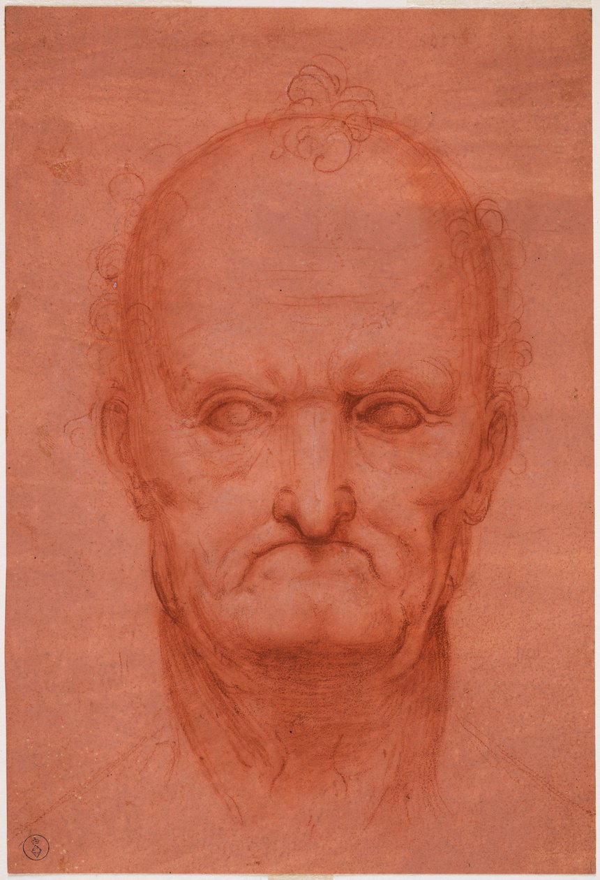 Tête de vieil homme, vers 1515 - Cesare da attr.to Sesto
