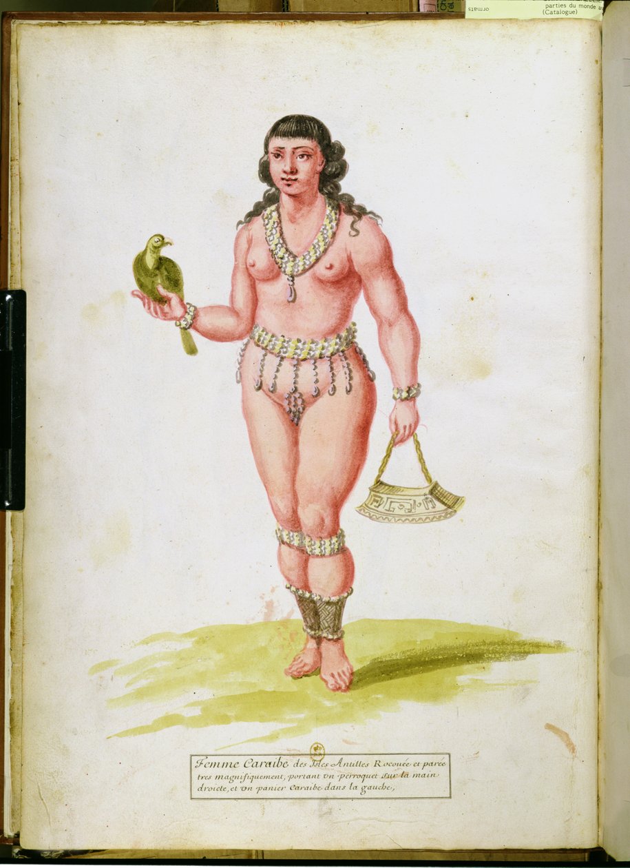 Autochtone des Caraïbes avec un perroquet, d