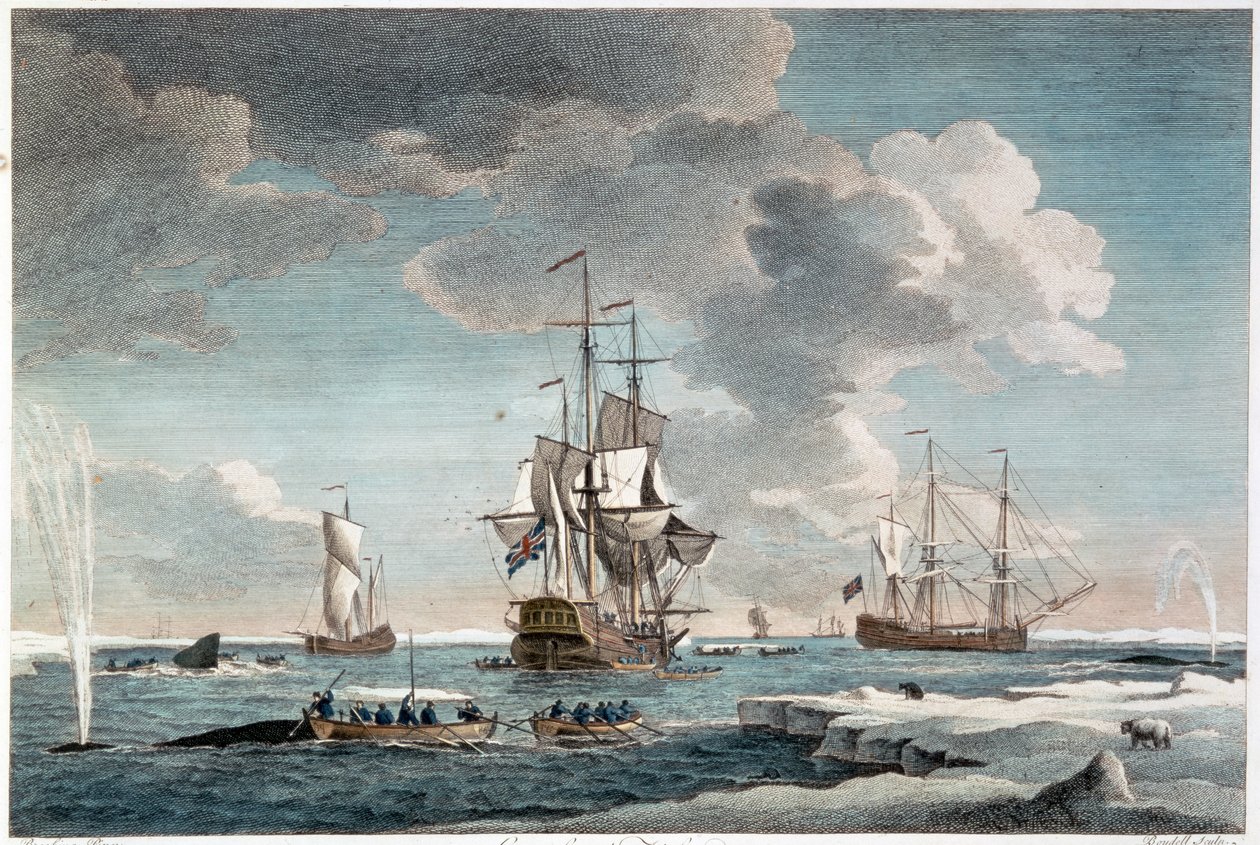 Pêche au Groenland, gravée par John Boydell (1719-1804) 1754 (gravure en couleurs) - Charles (after) Brooking