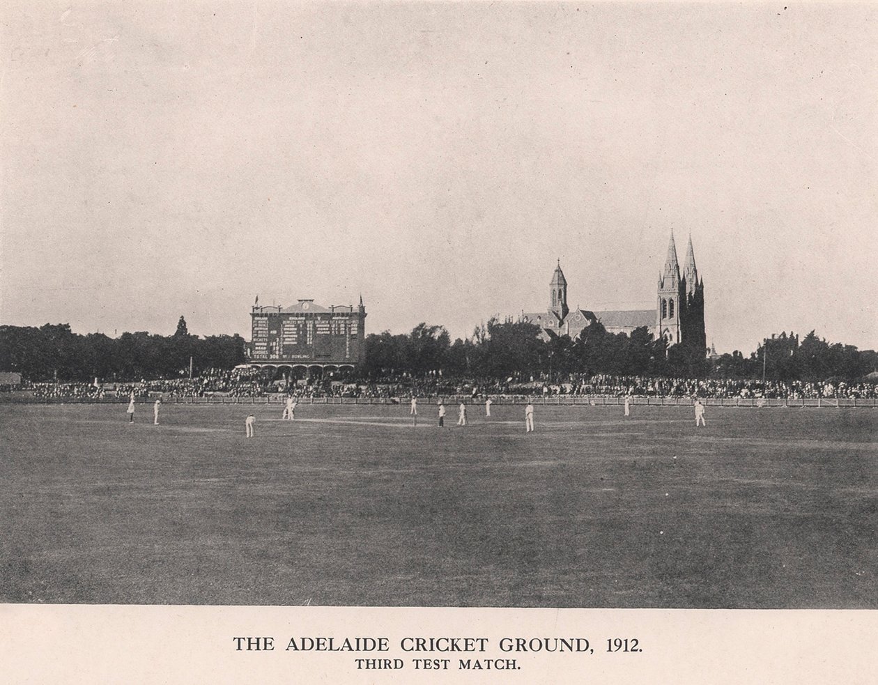 Le terrain de cricket d