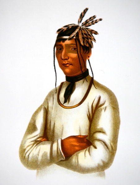 Caatousee de la tribu Chippewa (lithographie en couleur) - Charles Bird King