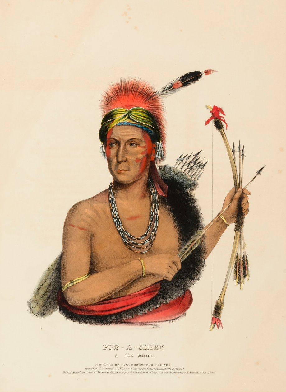 POW-A-SHEEK. UN FOX CHIEF. - Charles Bird King