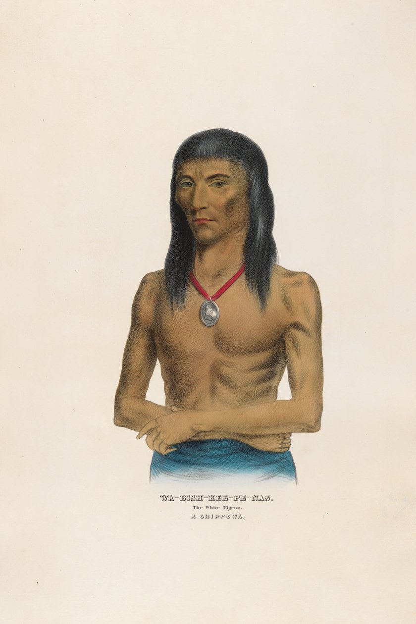 Wa-bish-kee-pe-nas - Le pigeon blanc - Charles Bird King