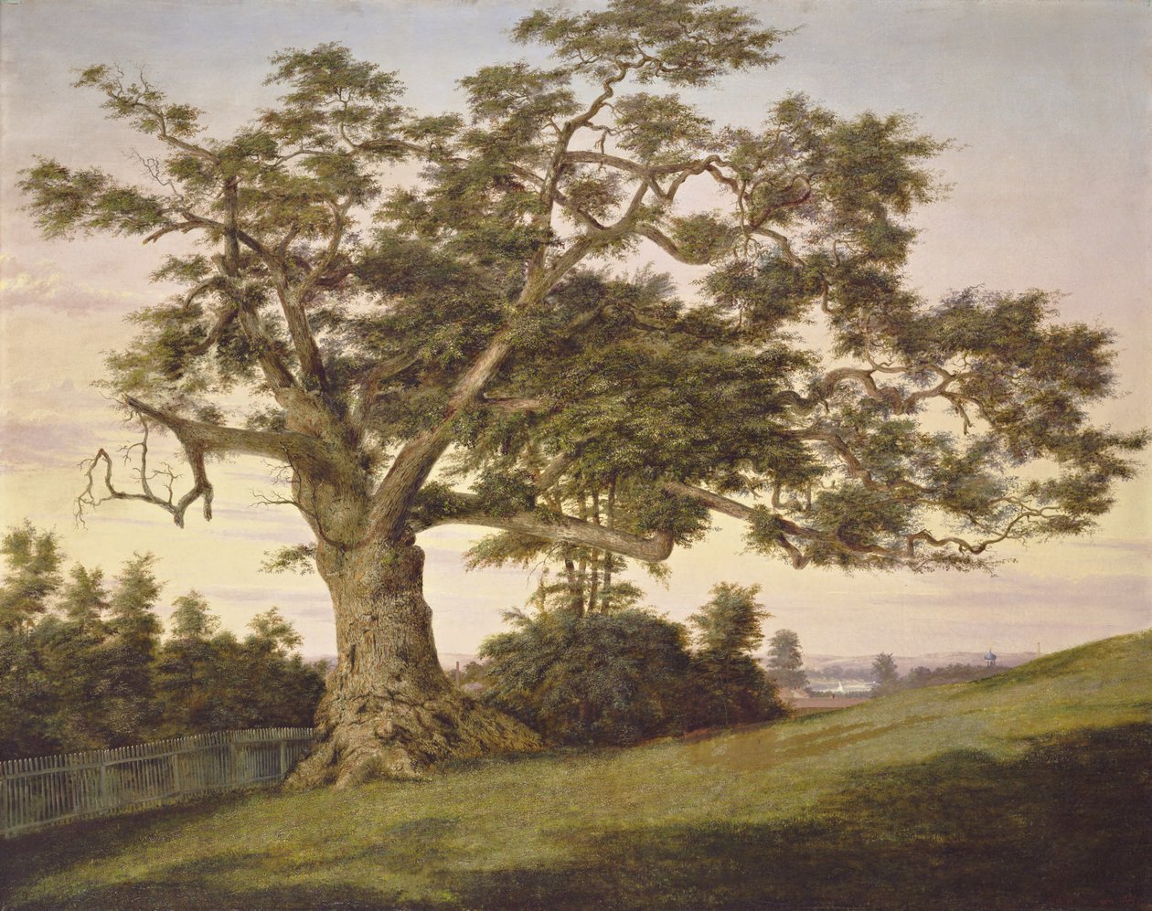 Le Chêne de la Charte - Charles de Wolf Brownell