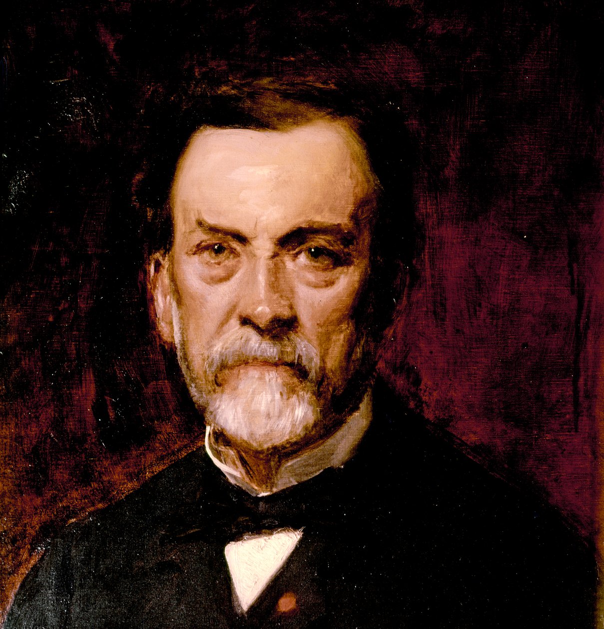 Portrait de Louis Pasteur (huile sur toile) - Charles Emile Auguste Carolus-Duran