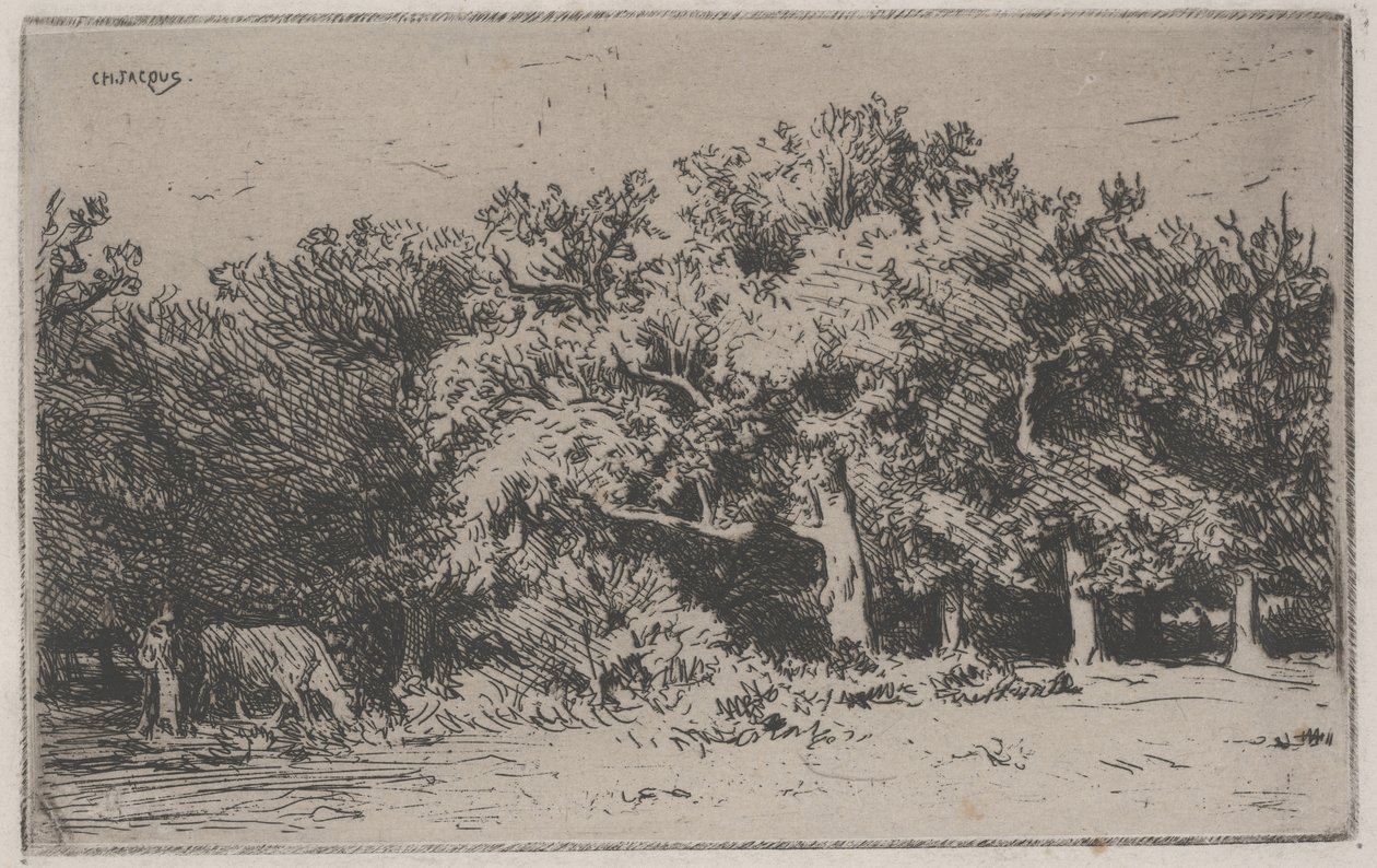 Un coin de la forêt de Fontainebleau - Charles Emile Jacque