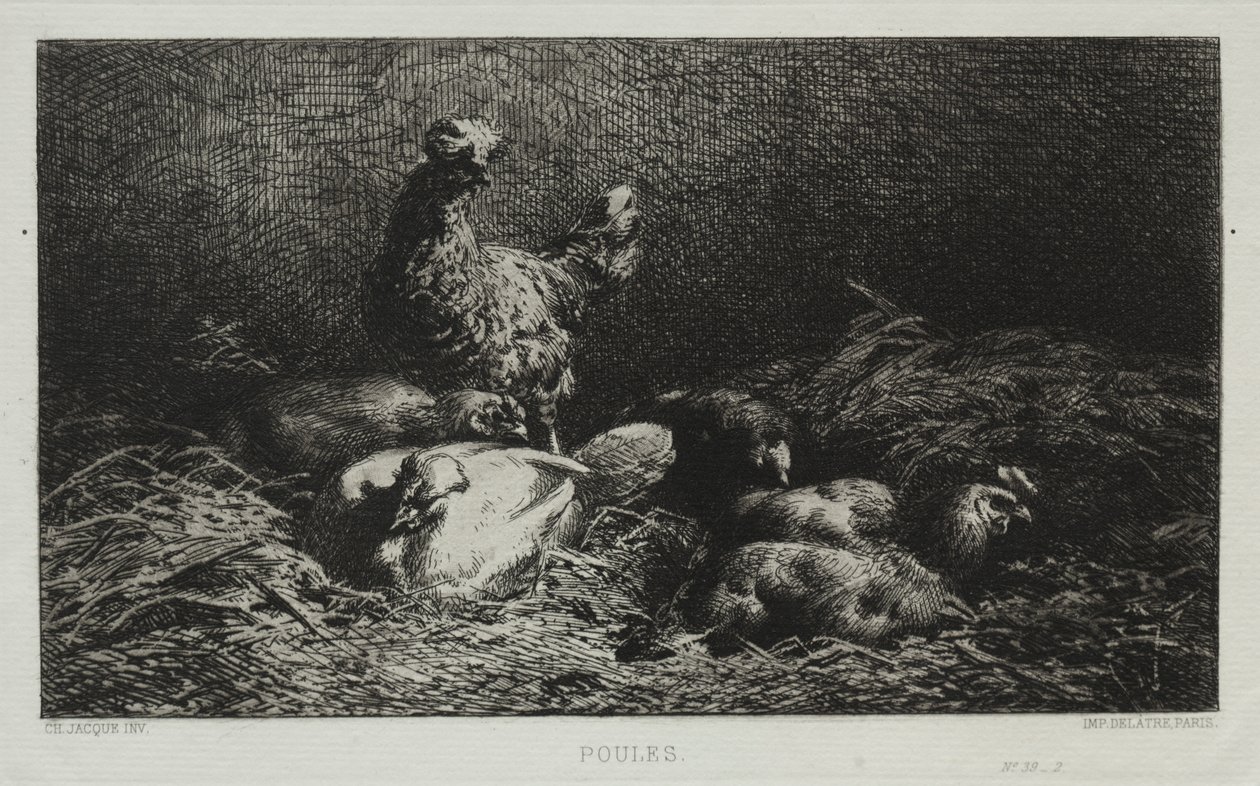 Poules - Charles Emile Jacque