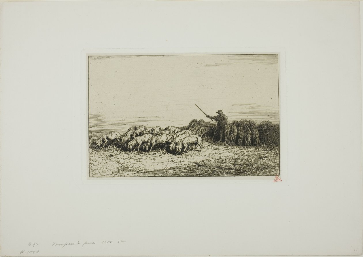 Troupeau de cochons - Charles Emile Jacque