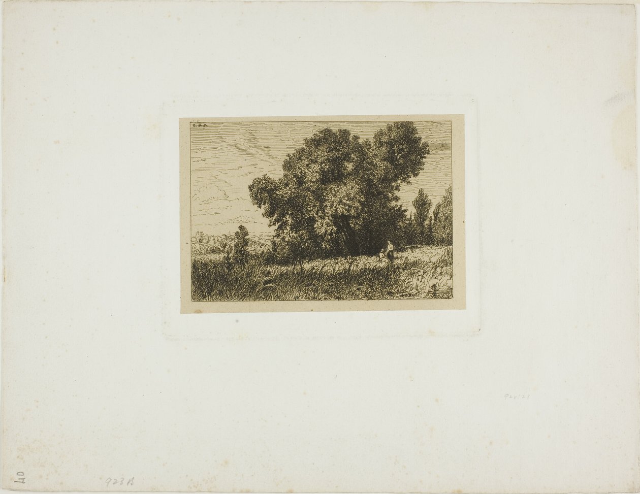Paysage de l