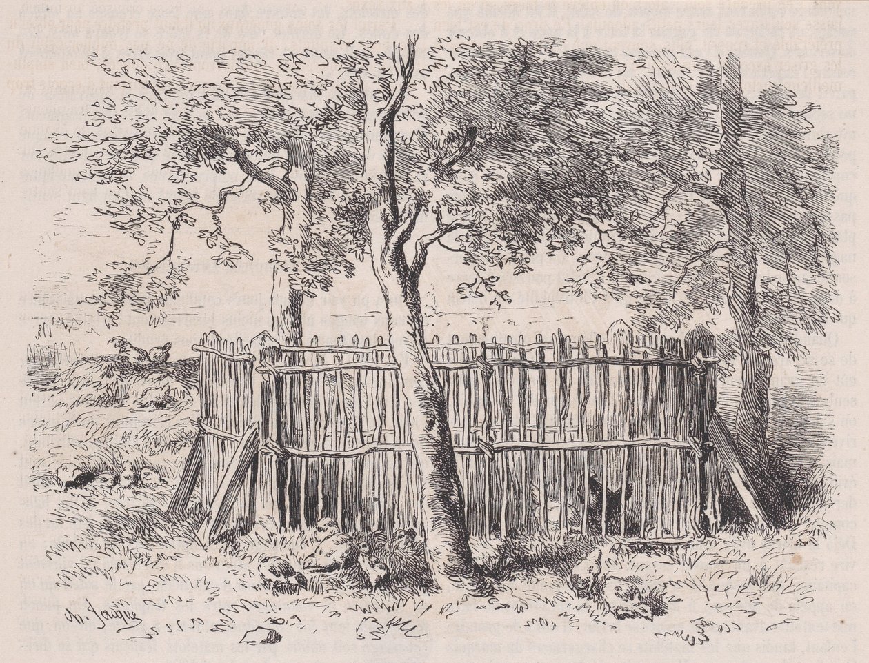 Parc à élèves, du Magasin Pittoresque, vers 1852 - Charles Emile Jacque