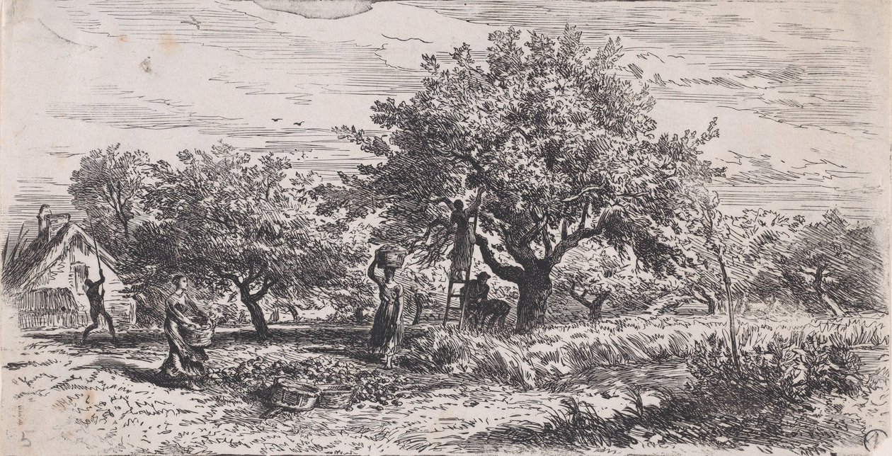 Cueillir des fruits d