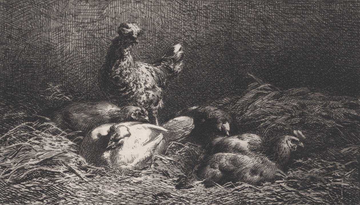 Poules, 1867 - Charles Emile Jacque