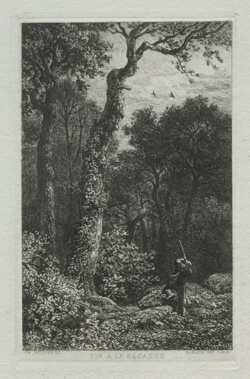 Chasse à la Bécasse - Charles Emile Jacque