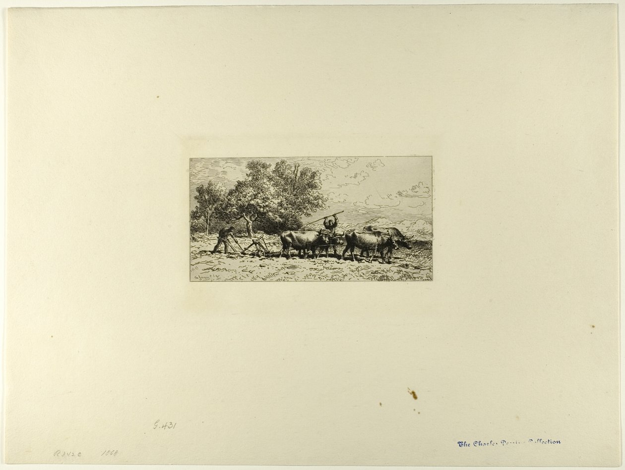 Attelage de bœufs - Charles Emile Jacque