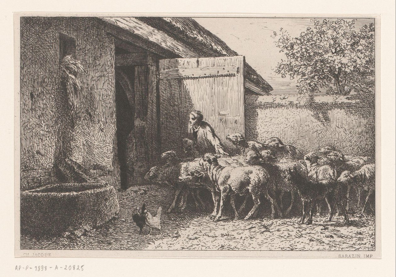 Femme conduisant des moutons à l