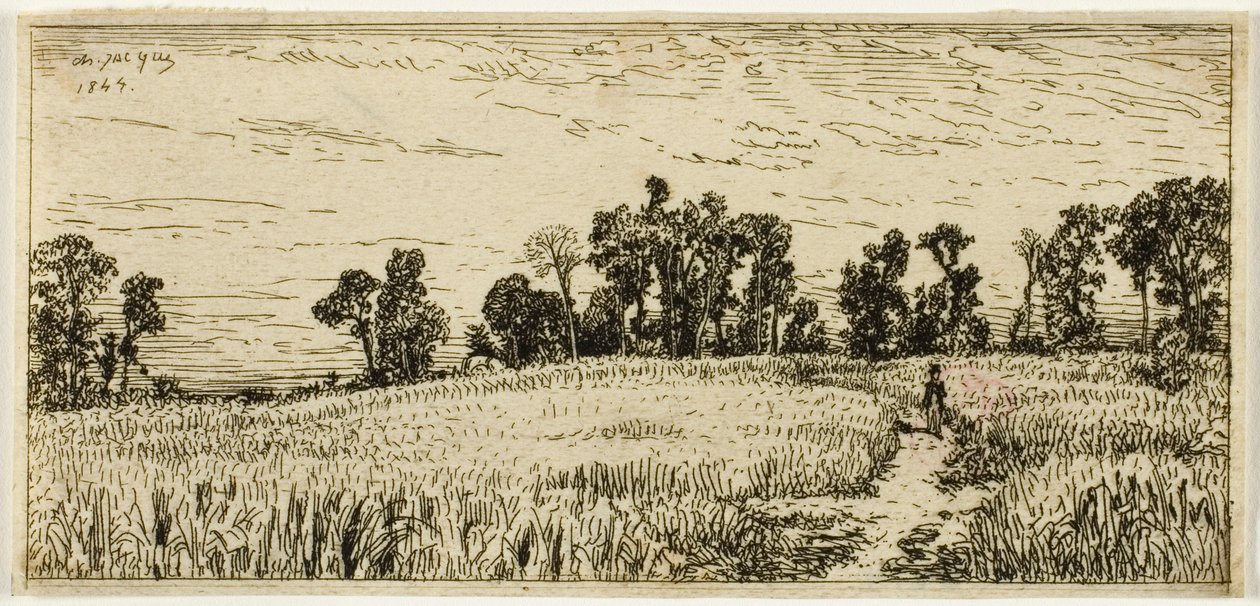 Champ de blé - Charles Emile Jacque