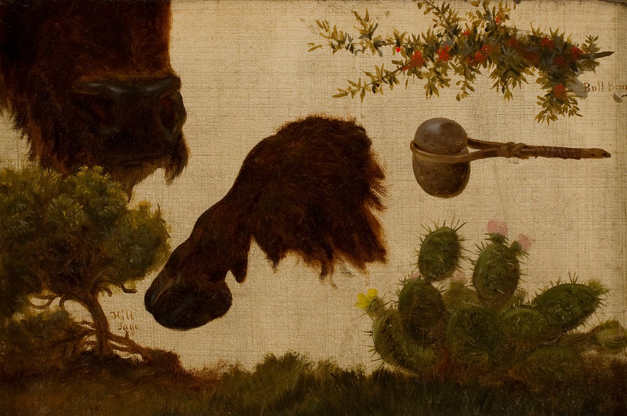 Étude pour « Le Bison blessé » : sauge de colline, tête et sabot de bison, baie de taureau, hache de pierre et cactus - Charles Ferdinand Wimar