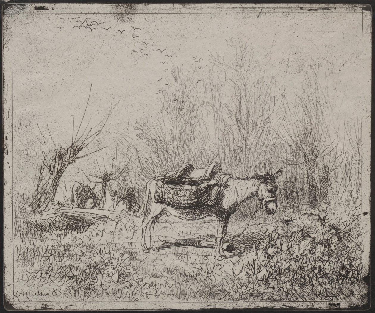 Un âne dans le champ, impression originale 1862, imprimée en 1921 - Charles Francois Daubigny