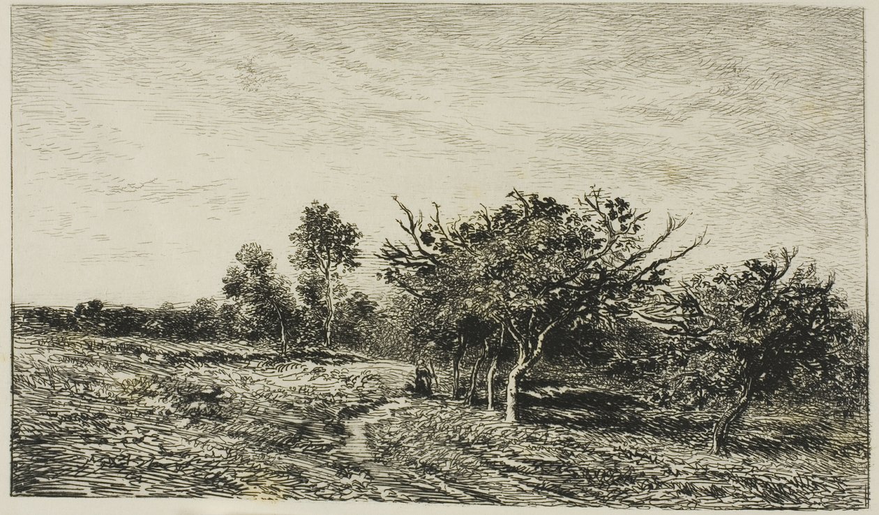 Pommiers à Auvers - Charles Francois Daubigny