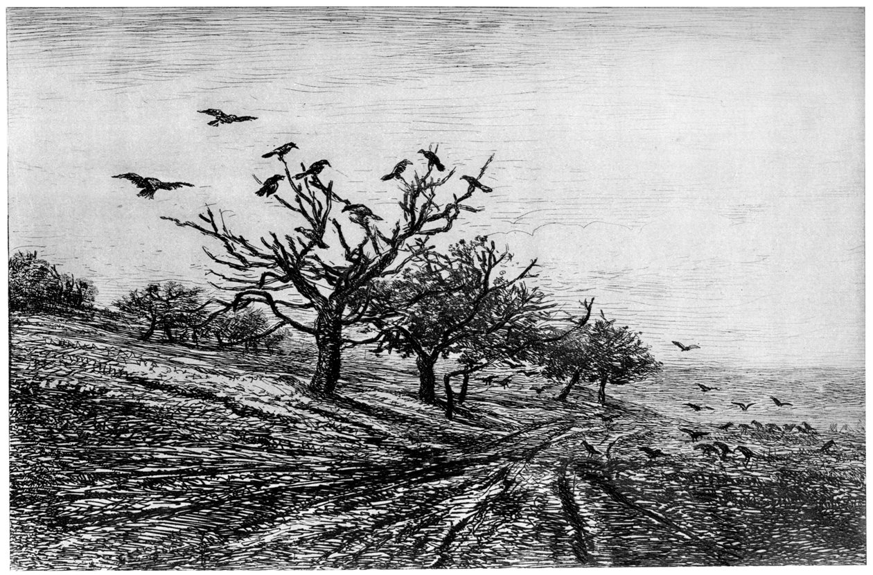 Arbre à corbeaux - Charles Francois Daubigny