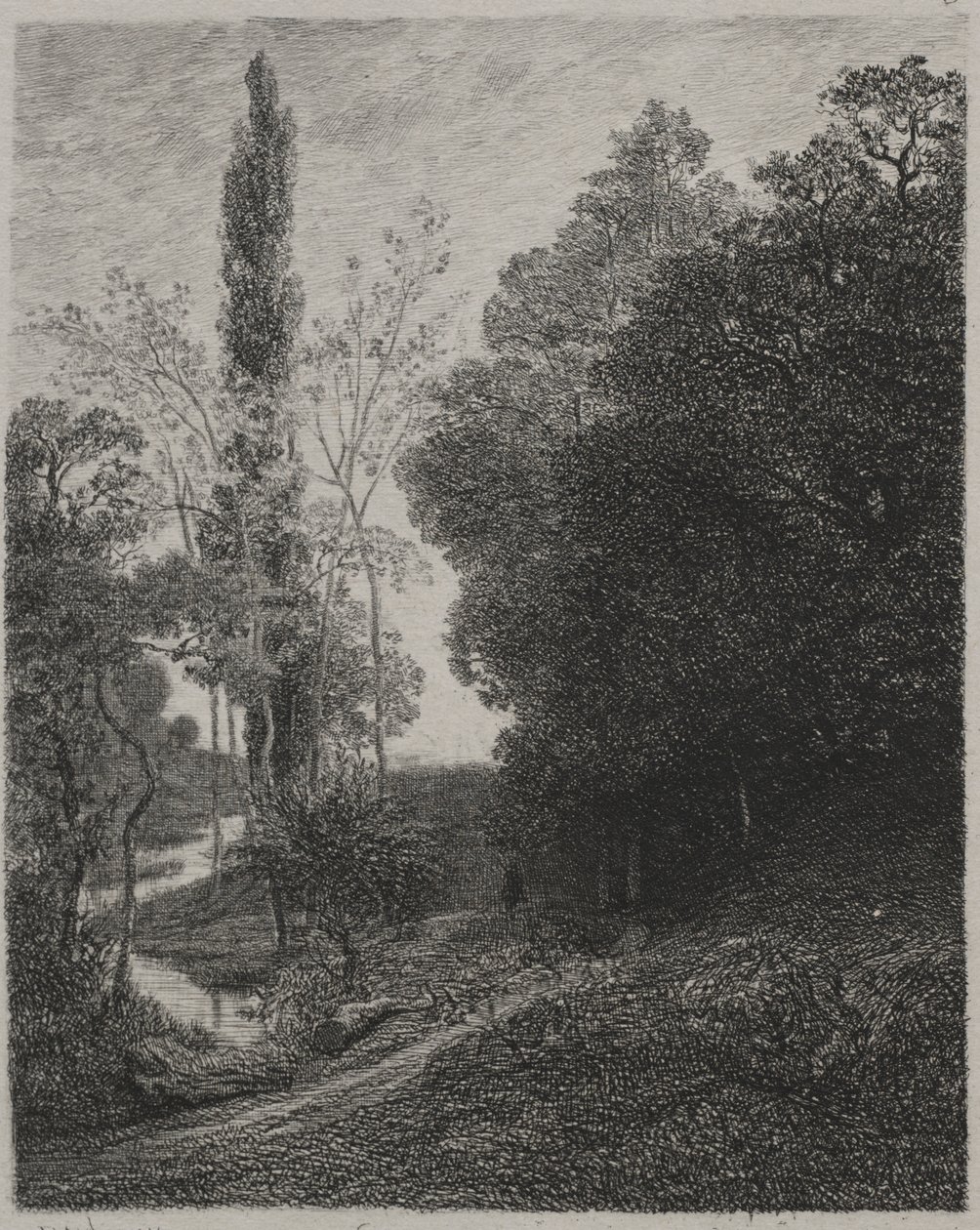 Rives de la Rivière Cousin - Charles Francois Daubigny