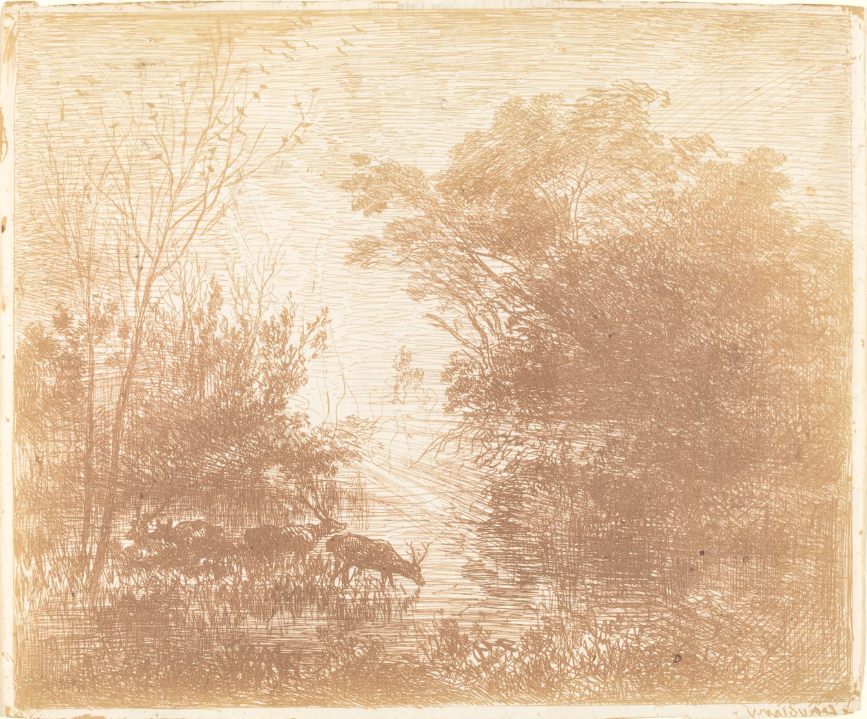 Les cerfs - Charles Francois Daubigny