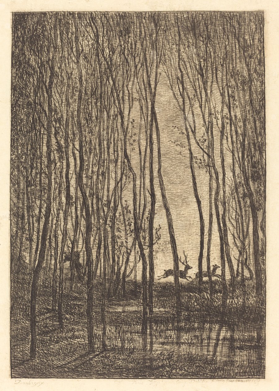 Les cerfs sous bois - Charles Francois Daubigny