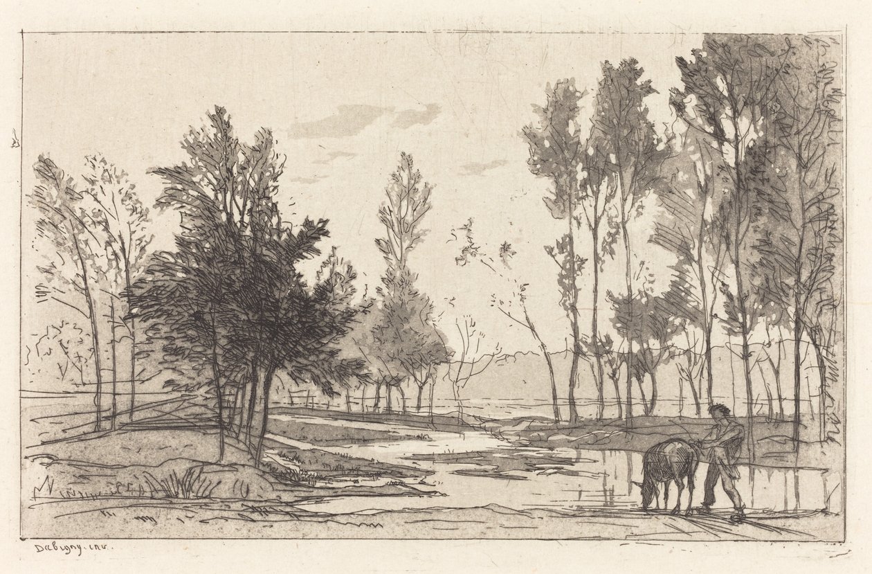 Âne à l