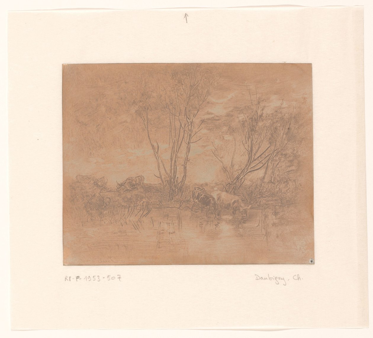Paysage avec des vaches buvant - Charles Francois Daubigny