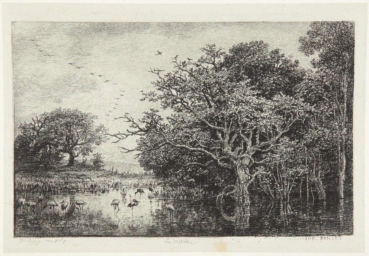 Le Marais aux cigognes - Charles Francois Daubigny