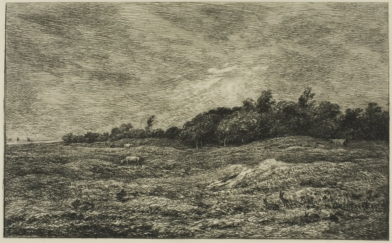 Le Pré des Graves à Villerville (Calvados) - Charles Francois Daubigny