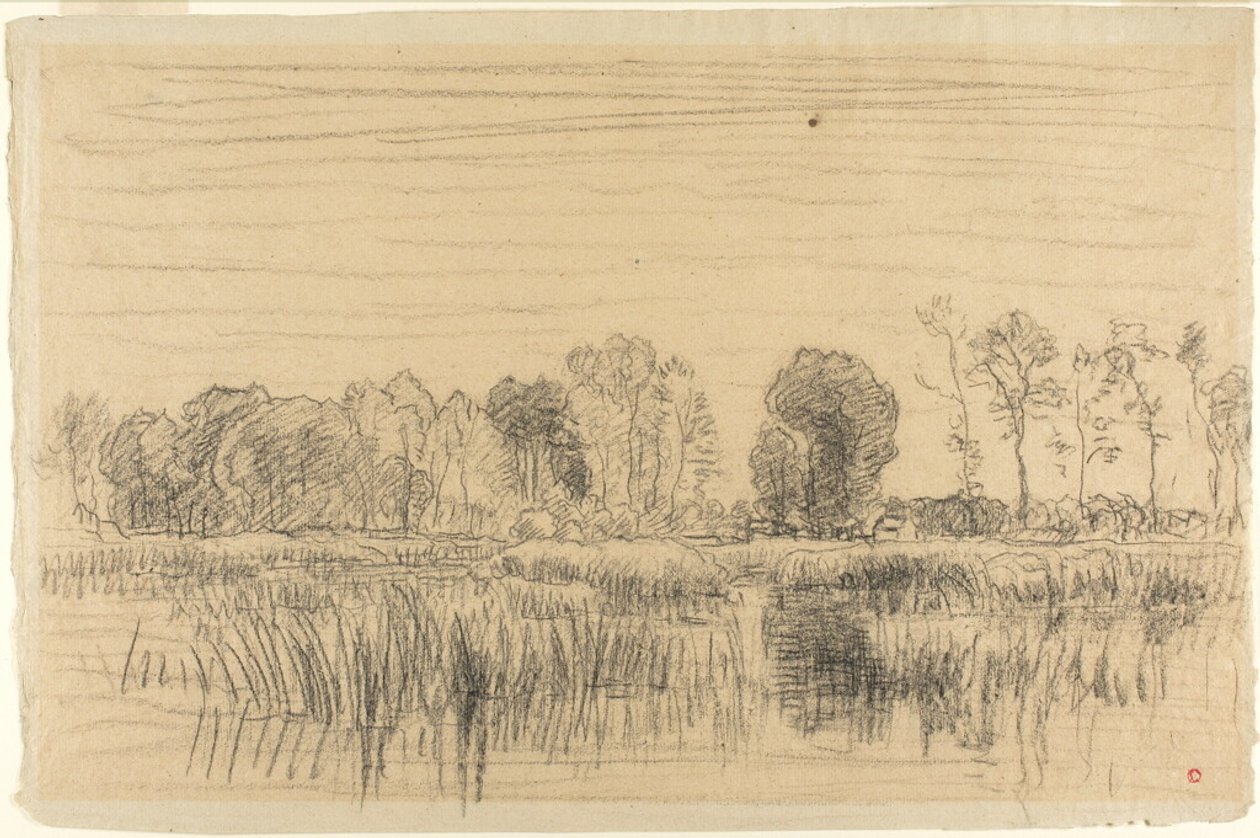 Marais et écran d