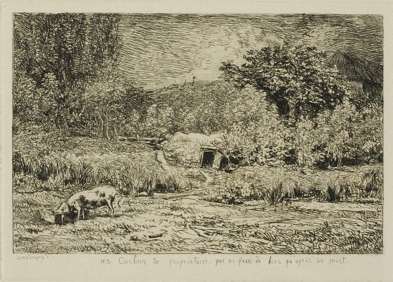 Cochon dans un verger - Charles Francois Daubigny