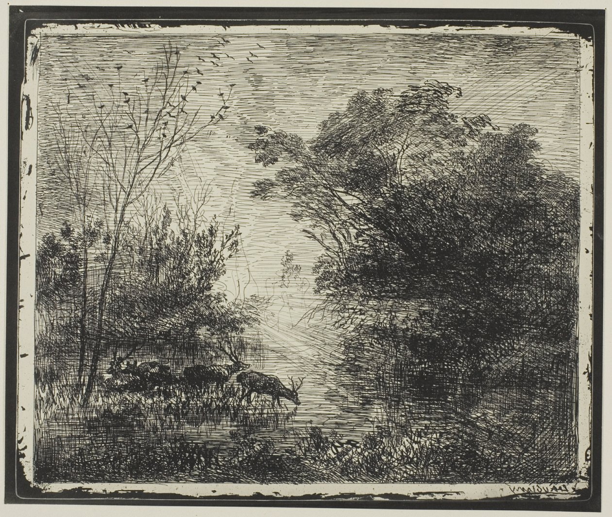 Cerfs - Charles Francois Daubigny