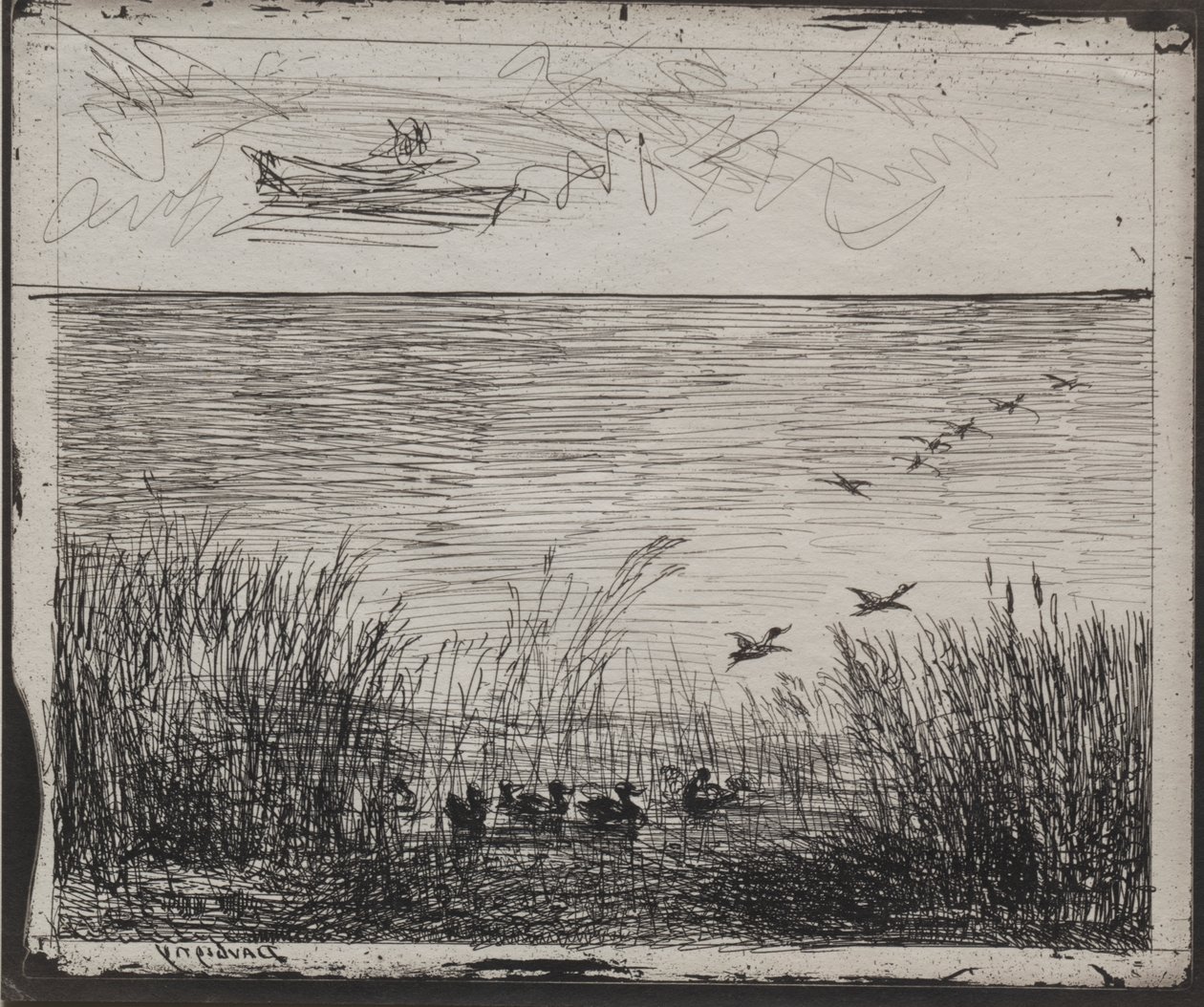 Marais avec des canards - Charles Francois Daubigny