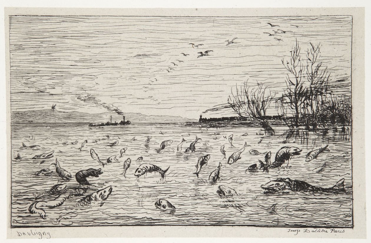 Les poissons se réjouissent du départ du mousse - Charles Francois Daubigny