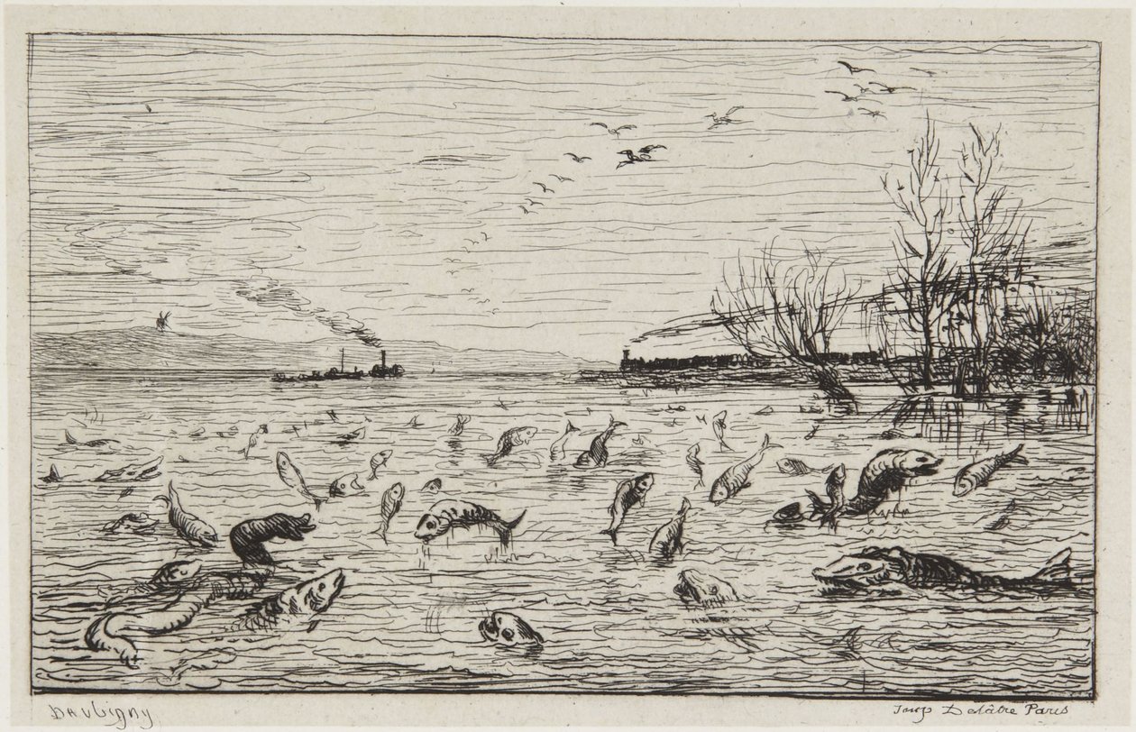 Les poissons se réjouissent du départ du mousse - Charles Francois Daubigny